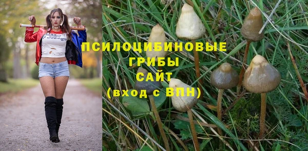 прущие грибы Алзамай