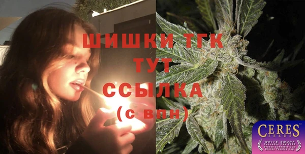 прущие грибы Алзамай